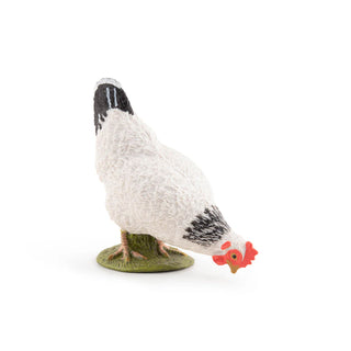 PECKING WHITE HEN