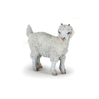 YOUNG ANGORA GOAT