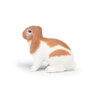 LOP RABBIT