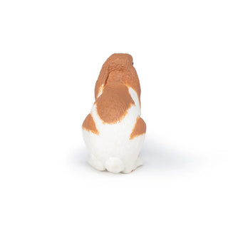 LOP RABBIT