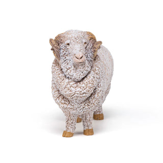 MERINO SHEEP