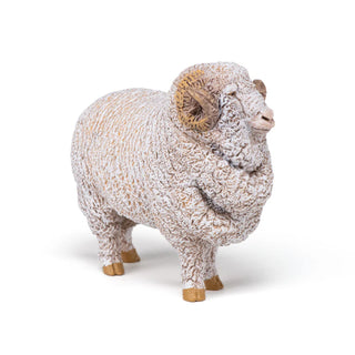 MERINO SHEEP