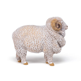 MERINO SHEEP