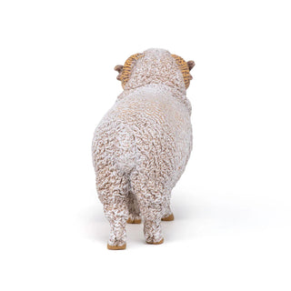 MERINO SHEEP