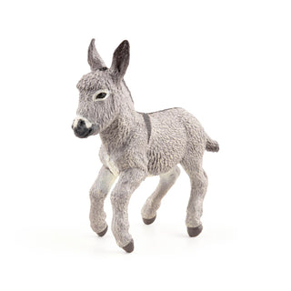 PROVENCE DONKEY FOAL