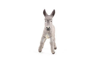 PROVENCE DONKEY FOAL