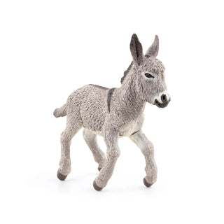 PROVENCE DONKEY FOAL
