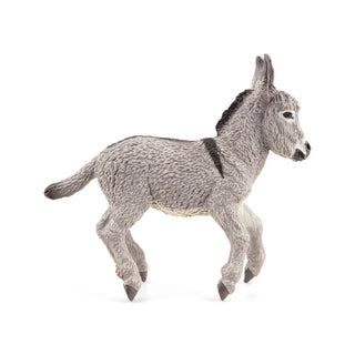 PROVENCE DONKEY FOAL