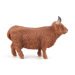 HIGHLAND CATTLE