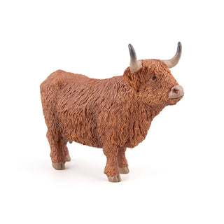 HIGHLAND CATTLE
