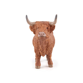 HIGHLAND CATTLE