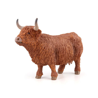 HIGHLAND CATTLE