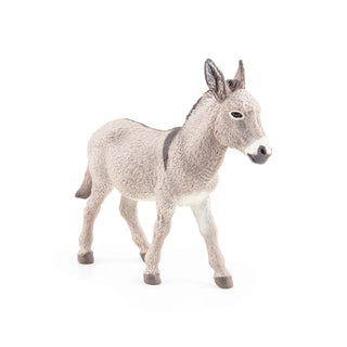 PROVENCE DONKEY
