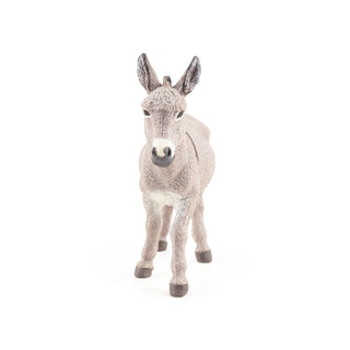 PROVENCE DONKEY