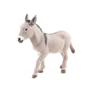 PROVENCE DONKEY