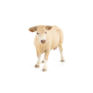 BLONDE D'AQUITAINE