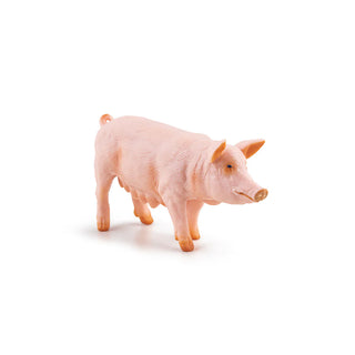 SOW
