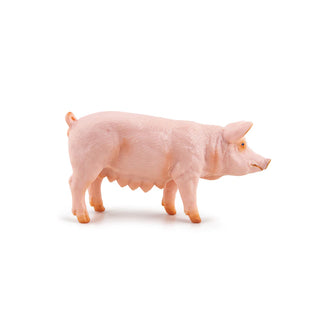 SOW