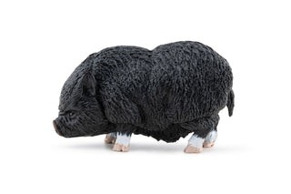 VIETNAMESE POT-BELLIDED PIG