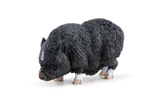 VIETNAMESE POT-BELLIDED PIG