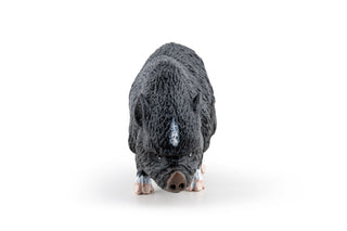VIETNAMESE POT-BELLIDED PIG