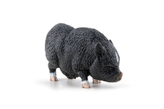 VIETNAMESE POT-BELLIDED PIG