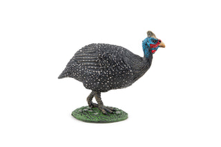 GUINEA FOWL