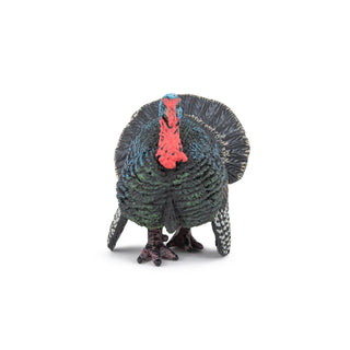 TURKEY