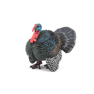 TURKEY
