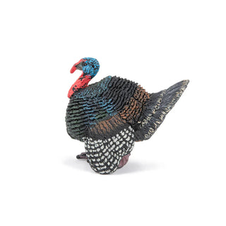 TURKEY