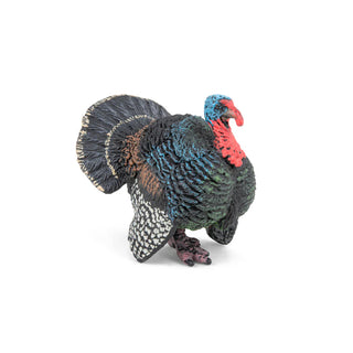 TURKEY