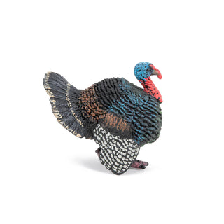 TURKEY