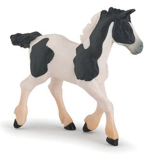 BLACK PIEBALD COB FOAL