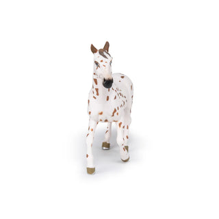 BROWN APPALOOSA MARE