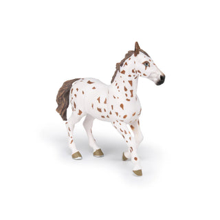 BROWN APPALOOSA MARE