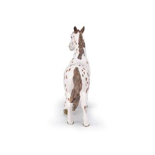 BROWN APPALOOSA MARE