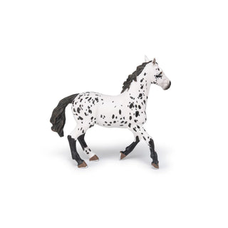 BLACK APPALOOSA HORSE