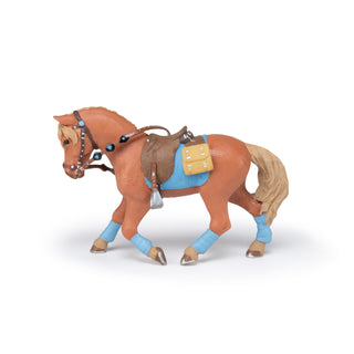 YOUNG RIDER HORSE