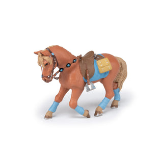 YOUNG RIDER HORSE