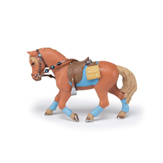 YOUNG RIDER HORSE