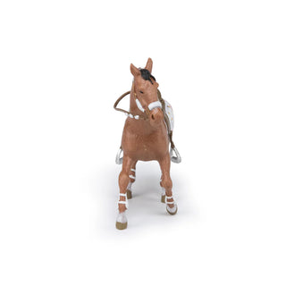 WINTER RIDER'S HORSE