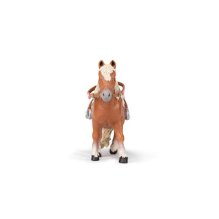 SHETLAND PONY WITH SADDLE