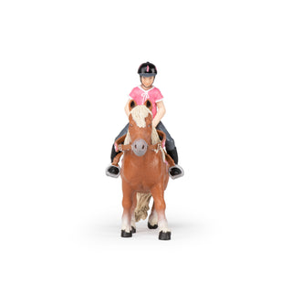 SHETLAND PONY WITH SADDLE