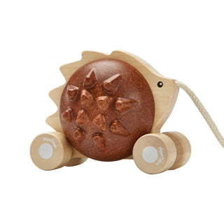 PULL ALONG HEDGEHOG