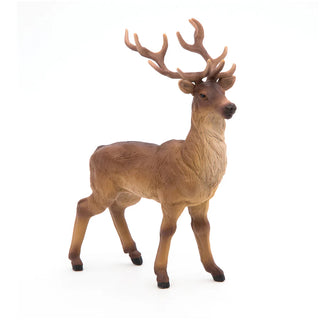STAG