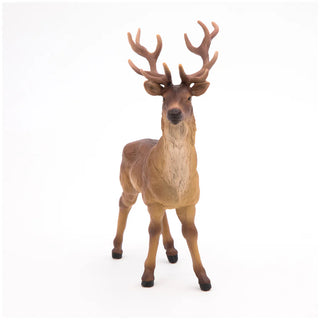 STAG