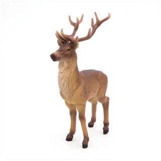 STAG