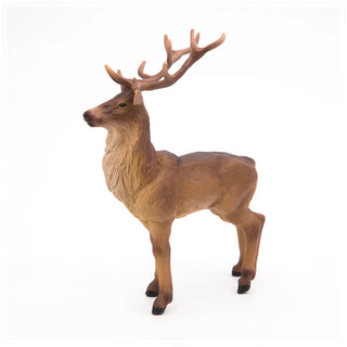 STAG