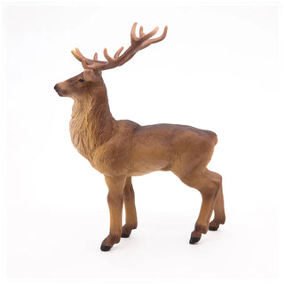 STAG