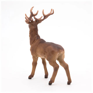 STAG